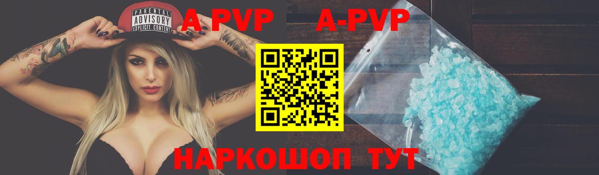 A-PVP СК КРИС Воркута