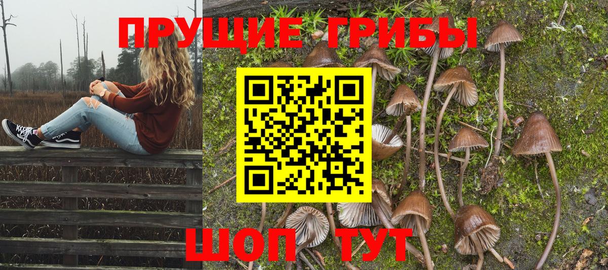 хочу   Галлюциногенные грибы MAGIC MUSHROOMS  Псилоцибиновые грибы Magic Shrooms  Вход с VPN  Воркута 