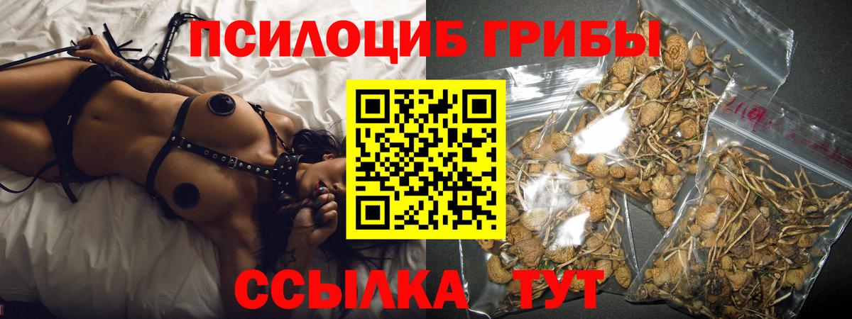 Галлюциногенные грибы прущие грибы Воркута